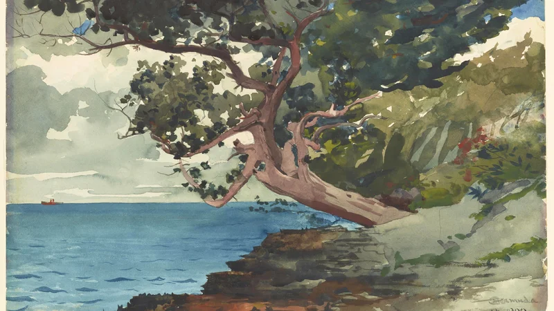 Winslow Homer — Bermuda