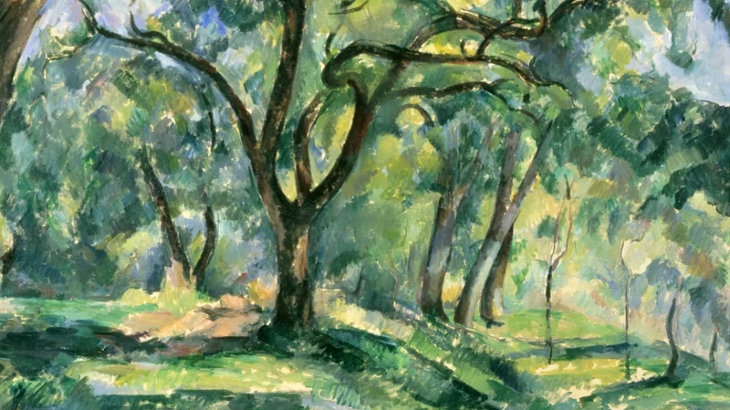 Paul Cezanne — Sous-bois (Underwood)