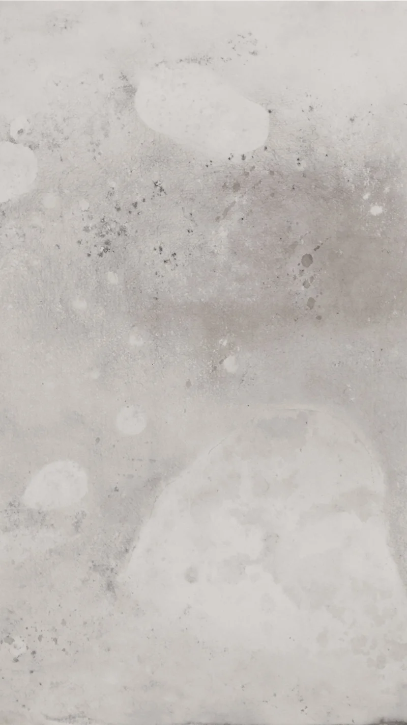 Paula Klien — Embryos4