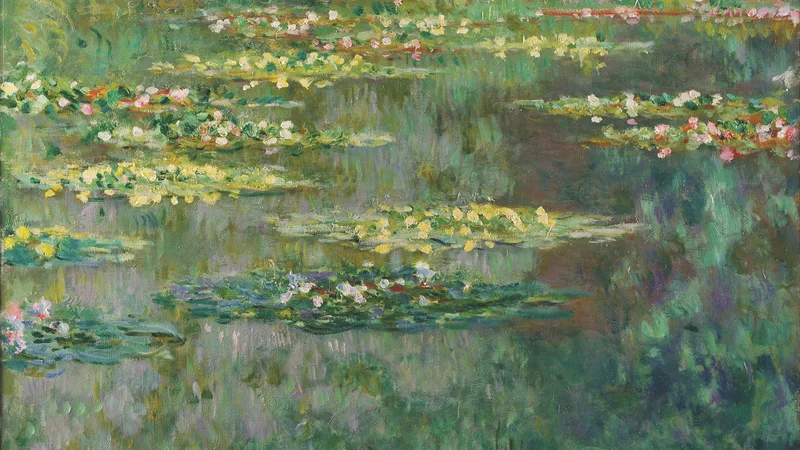 Le Bassin des Nympheas
