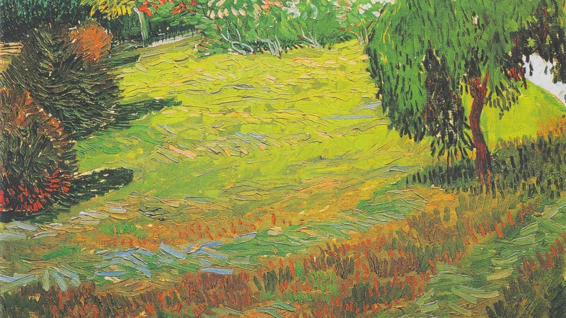 Sunny Lawn in a Public Park