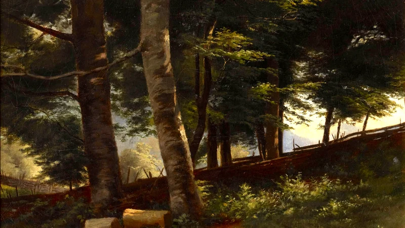 Dentro del bosque