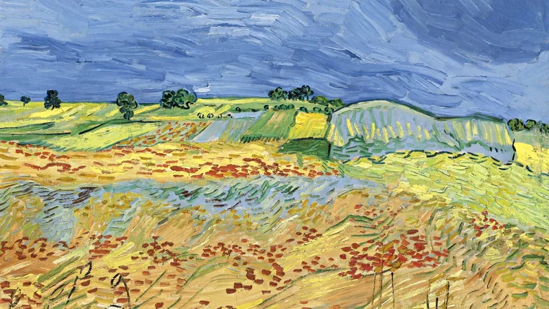 Vincent van Gogh — The Fields