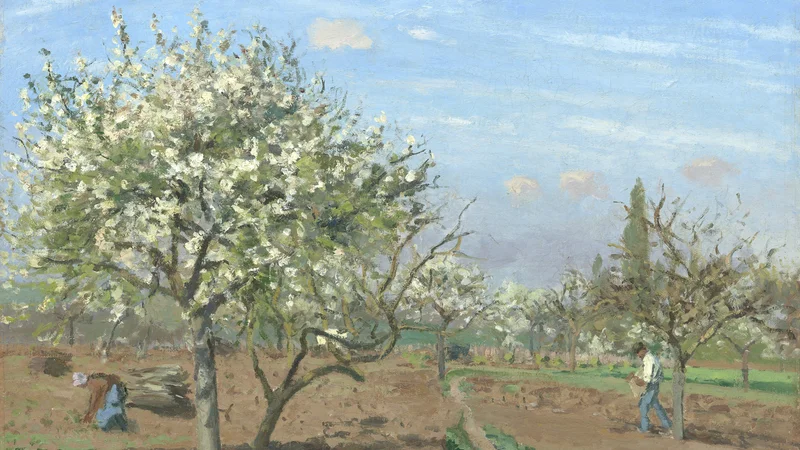 Camille Pissarro — Orchard in Bloom, Louveciennes