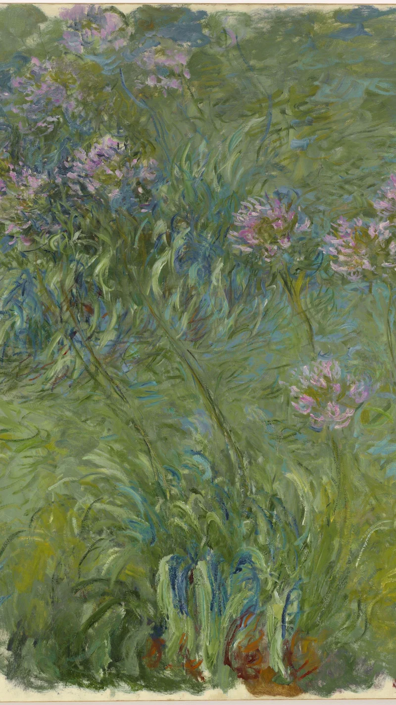 Claude Monet — Agapanthus