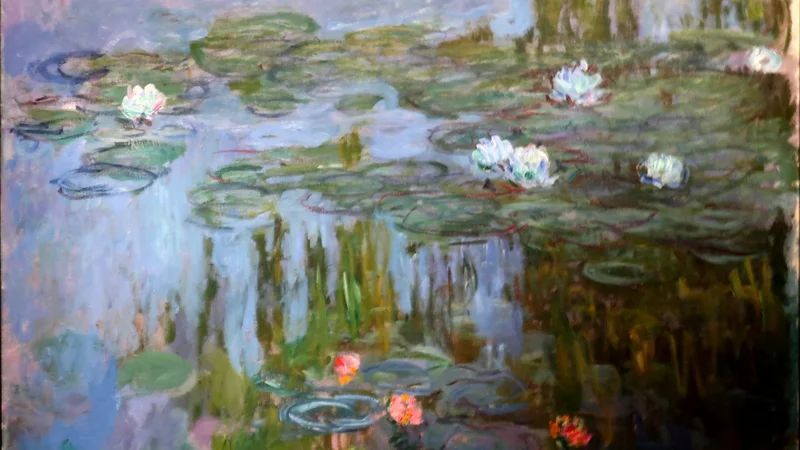 Waterlilies