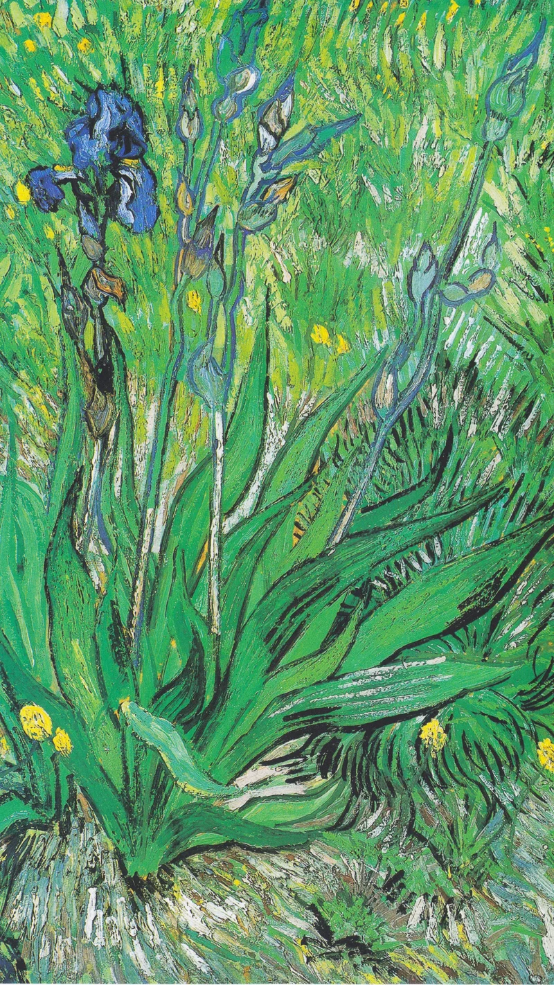 Vincent van Gogh — Iris
