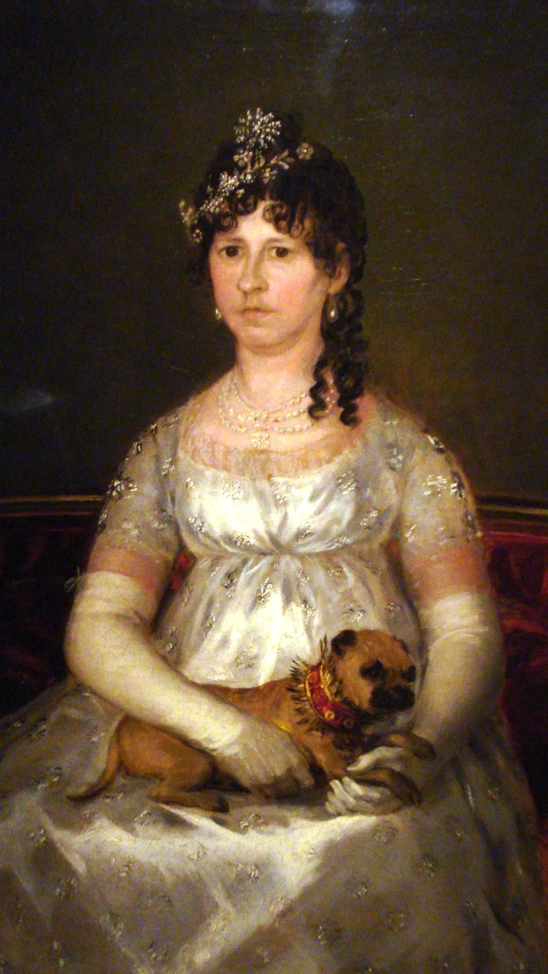 Francisco Goya — Portrait of Francisca Vicenta Chollet y Caballero