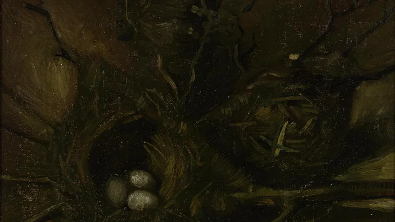 Vincent van Gogh — Birds' Nests