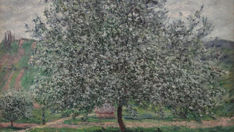Le pommier