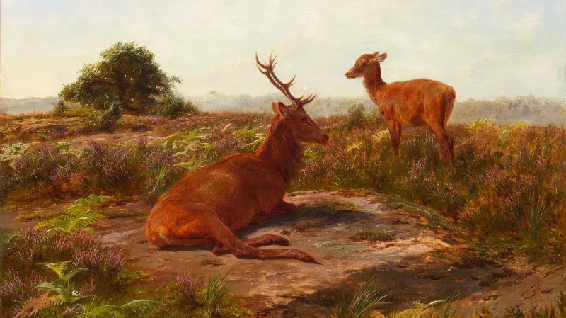 Rosa Bonheur — Red Stag and Doe in a Heathered Field