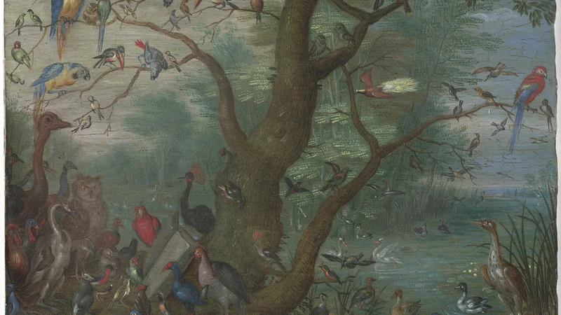 Jan van Kessel — Concert of Birds