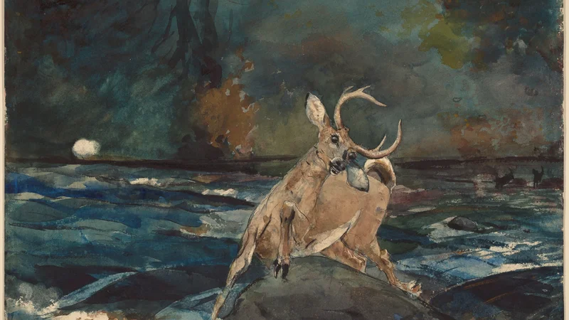 Winslow Homer — A Good Shot, Adirondacks