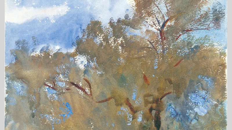 John Singer Sargent — Treetops against Sky
