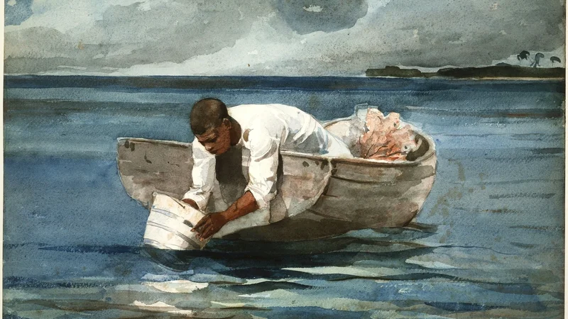 The Water Fan