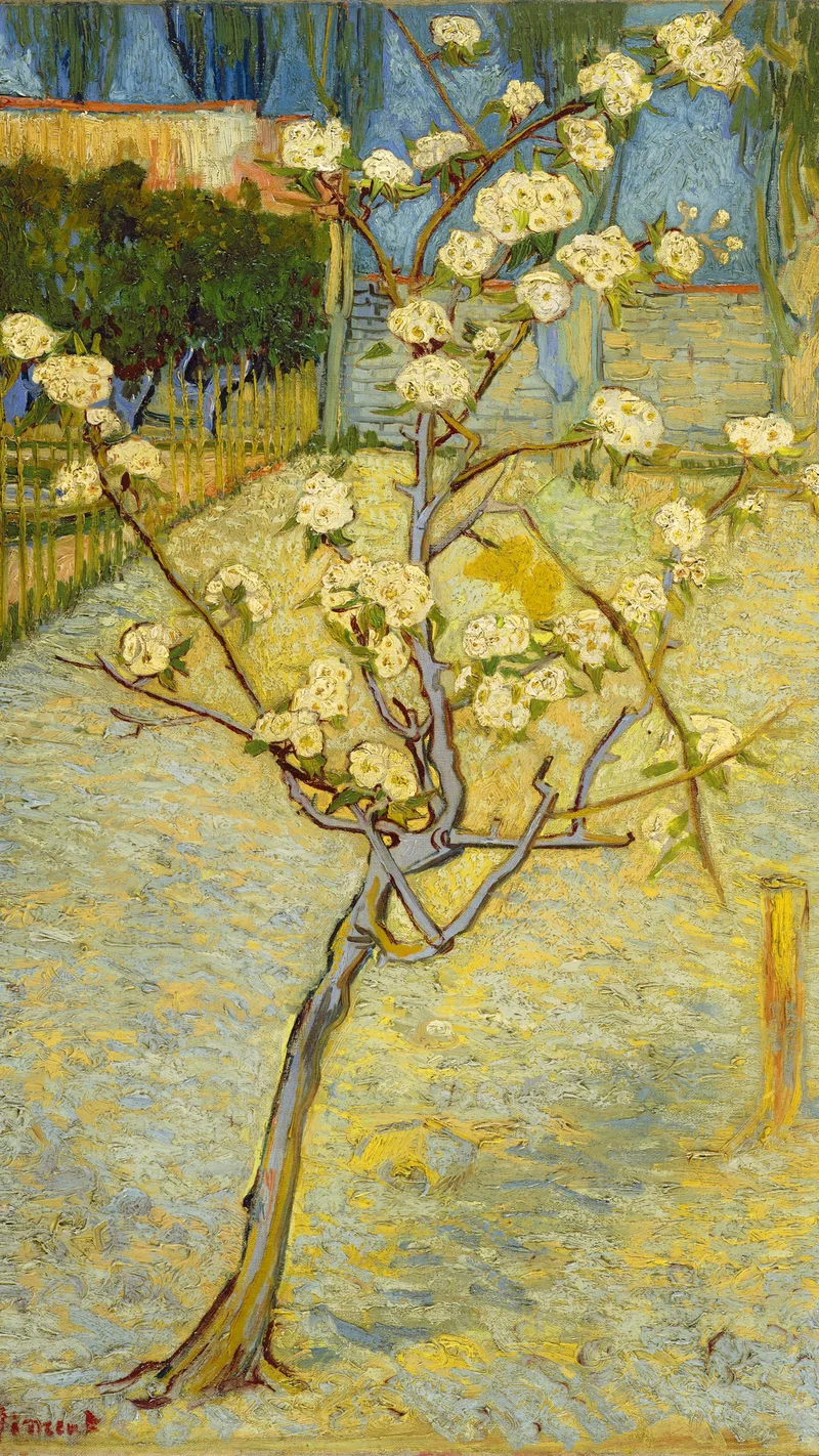 Vincent van Gogh — Small pear tree in blossom
