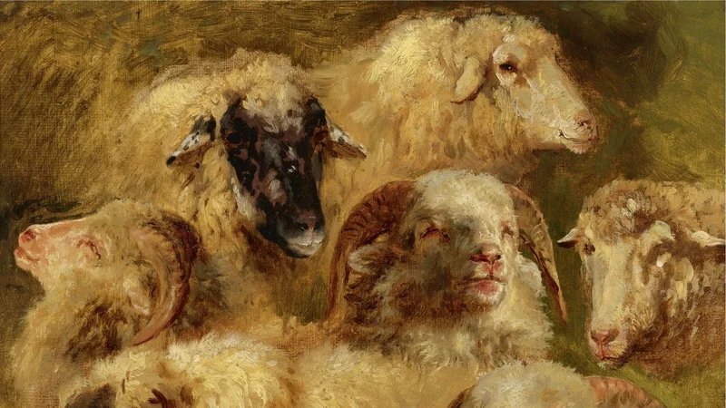 Rosa Bonheur — Heads of Sheep and Rams