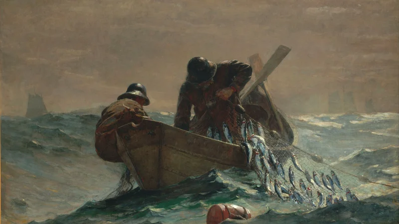 The Herring Net