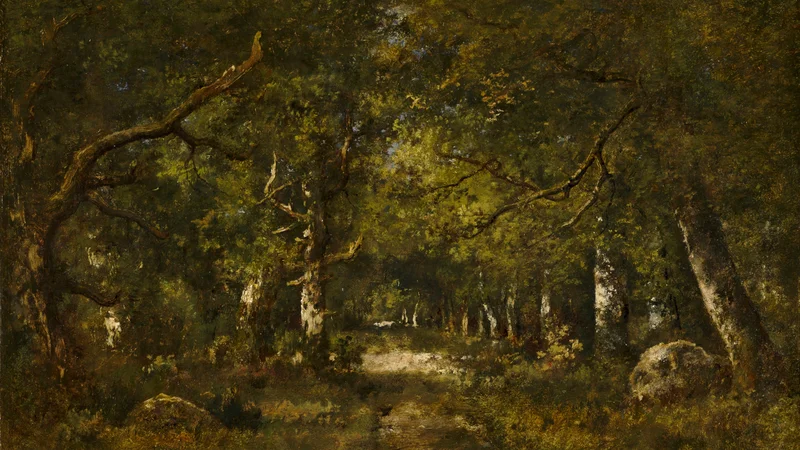 Forest Scene