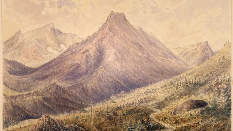 James Alden — Looking W. toward summit Kishenehn Pass left hand peak bears S. 10. W