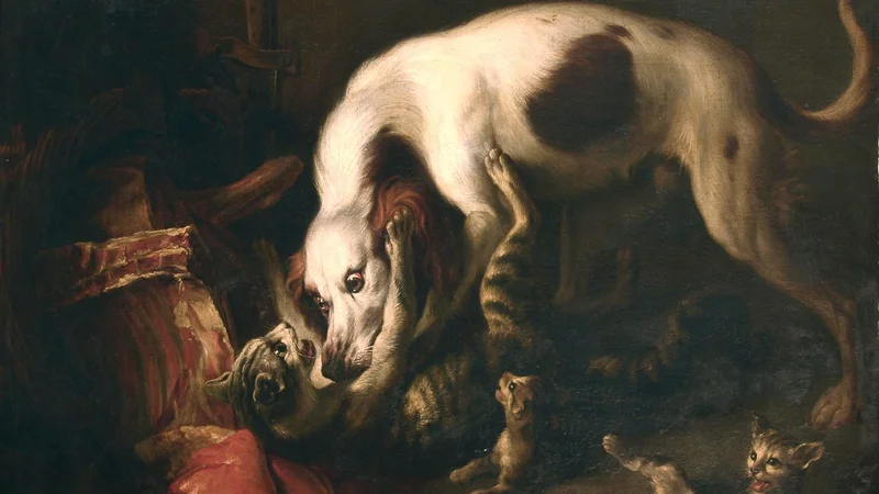 Alexandre-François Desportes — Dog and Cats