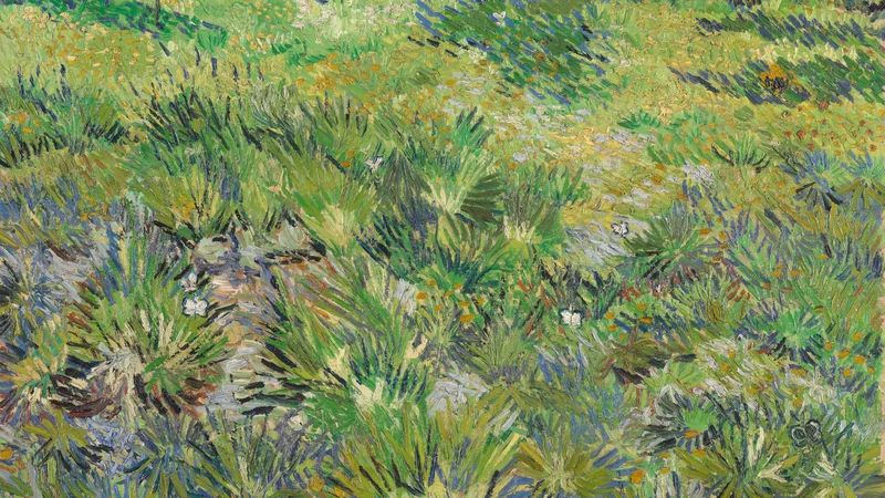 Long Grass with Butterflies