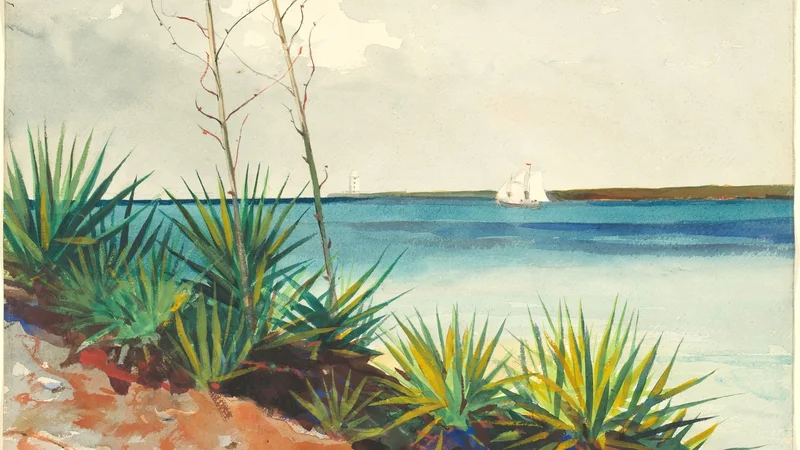 Winslow Homer — Spanish Bayonets
