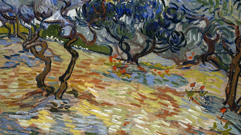 Olive trees