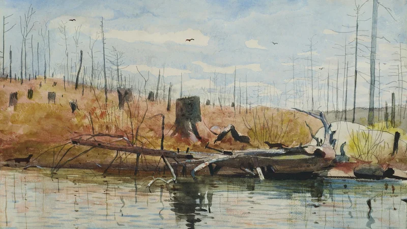 Fallen Tree with Minks