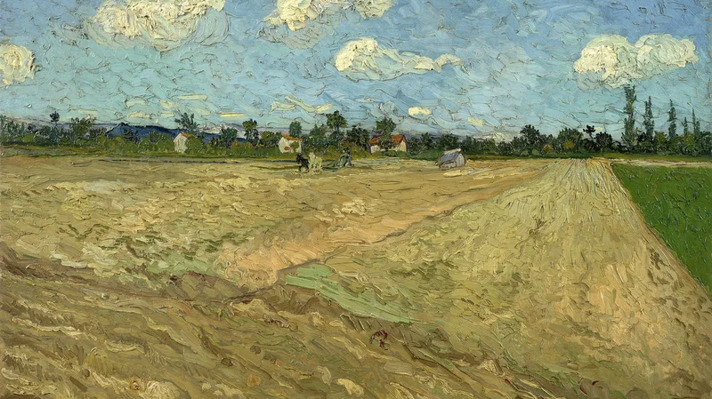 Ploughed fields