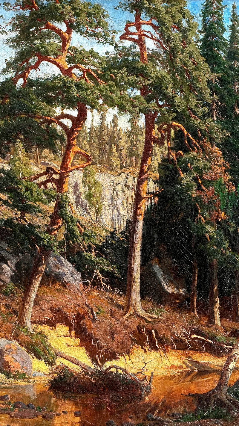 Fanny Churberg — In the Forest