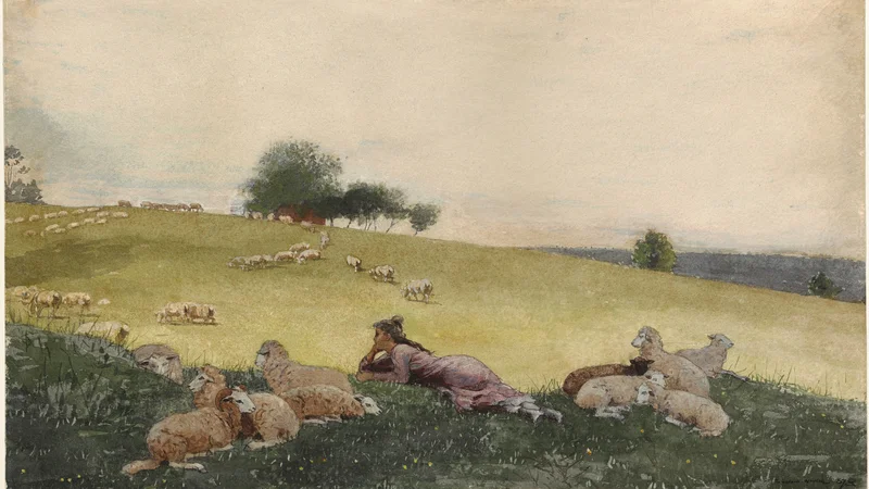 Bergère de Houghton Farm