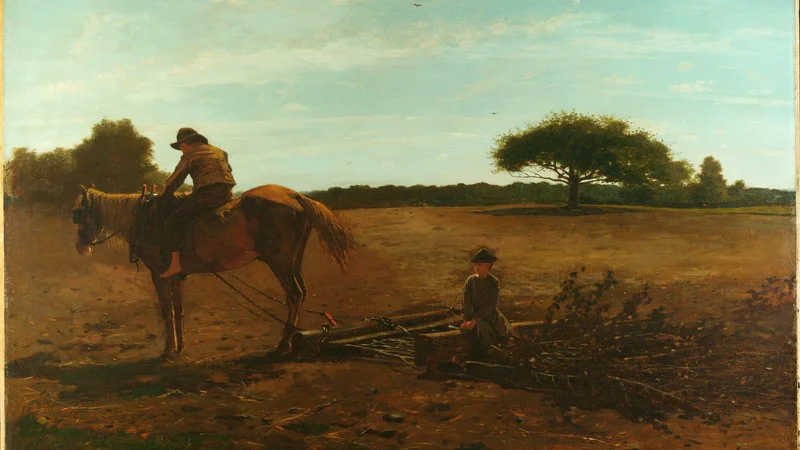 The Brush Harrow