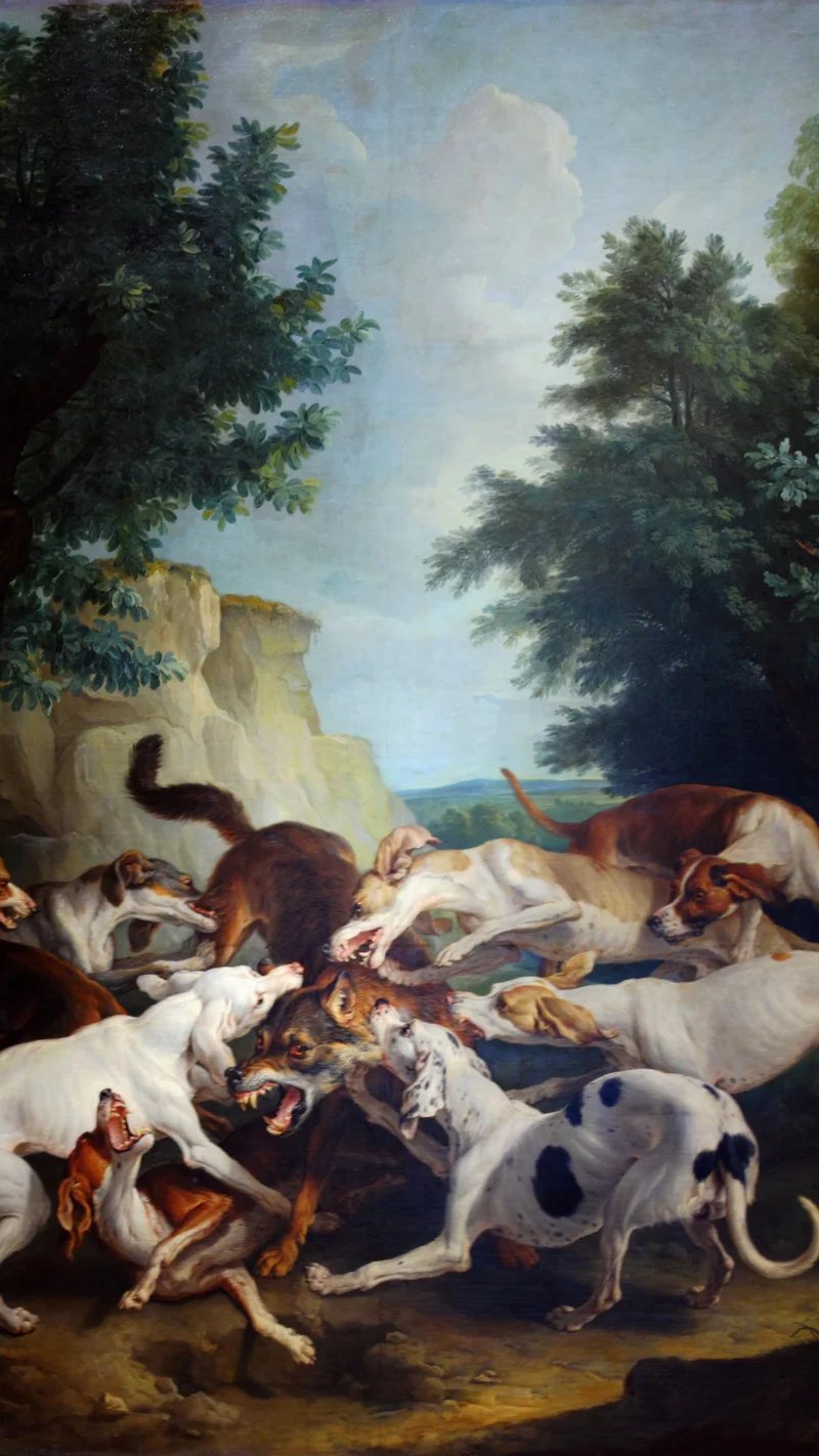 Alexandre-François Desportes — Wolf Hunting