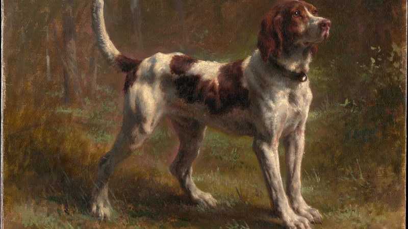 Rosa Bonheur — A Limier Briquet Hound