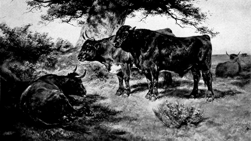 Woman in Art - The Steers