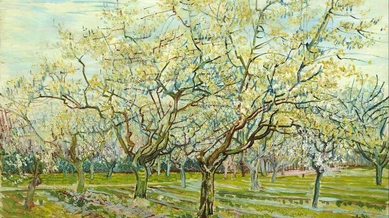 The white orchard