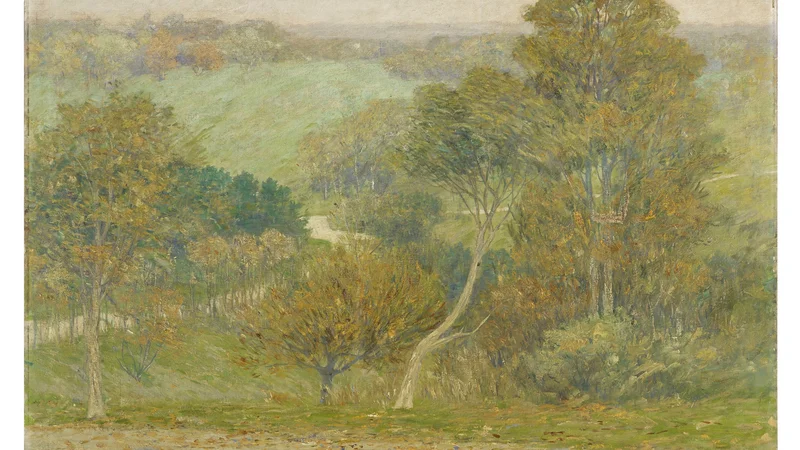 Hill and Hollow