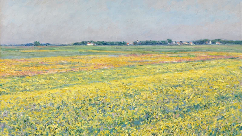 Gustave Caillebotte — The plain of Gennevilliers, yellow fields