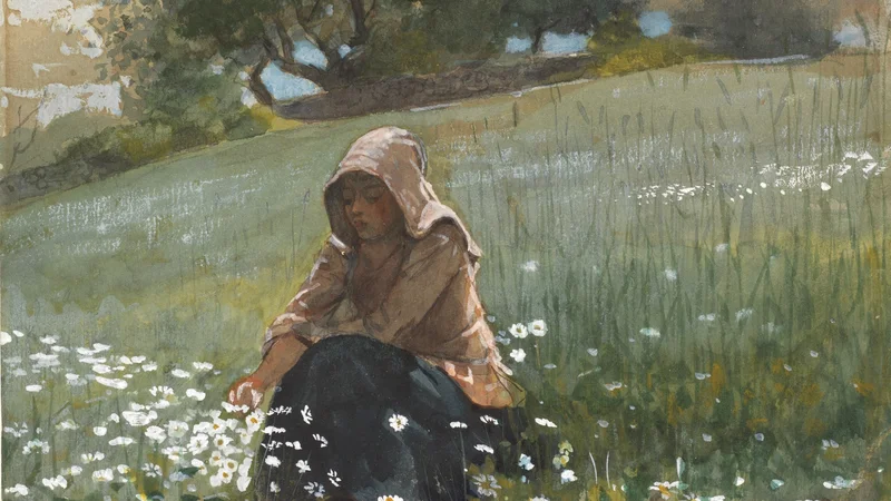 Jeune fille et marguerites
