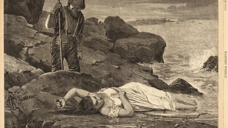 Winslow Homer — The Wreck of the Atlantic - Cast Up by the Sea