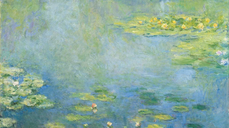 Waterlilies