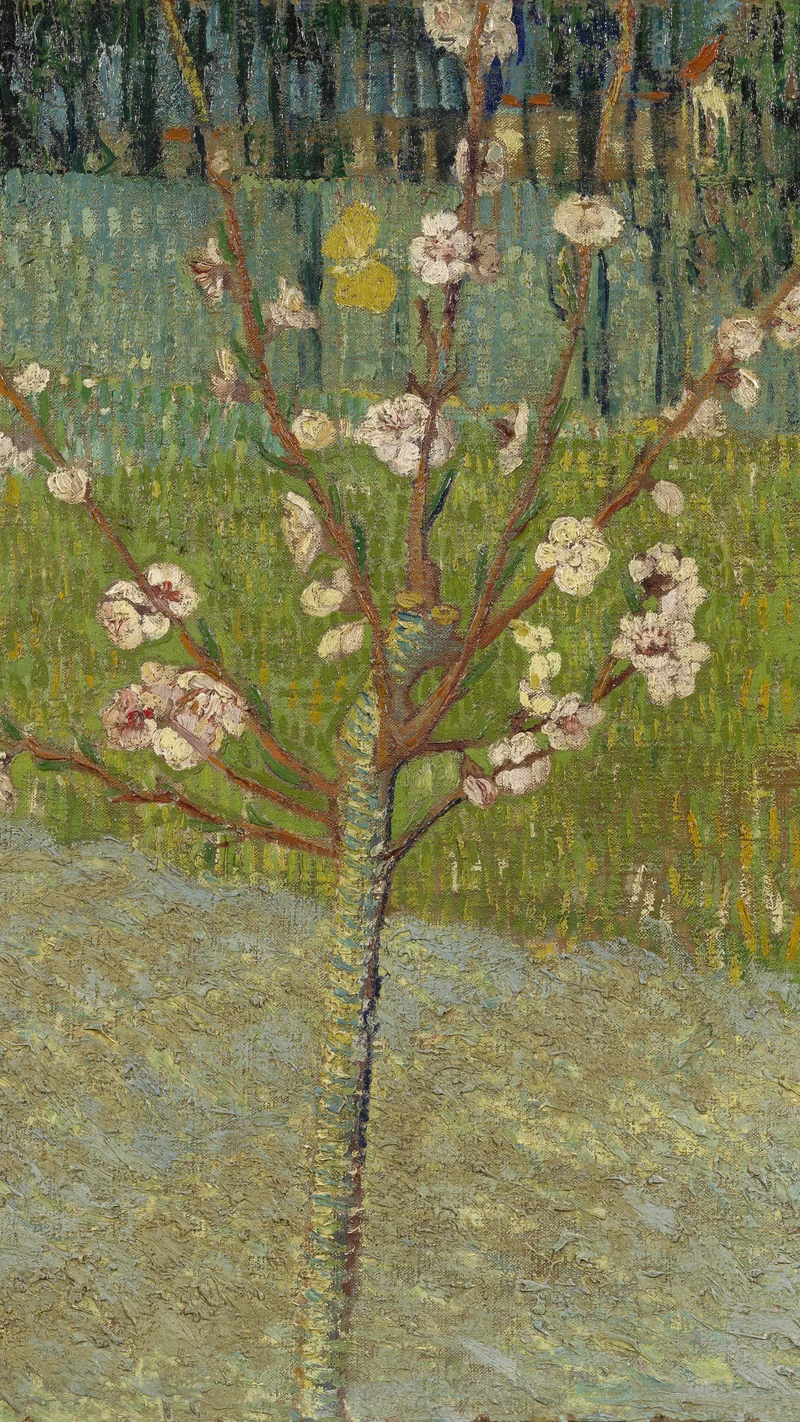 Vincent van Gogh — Peach Tree in Blossom