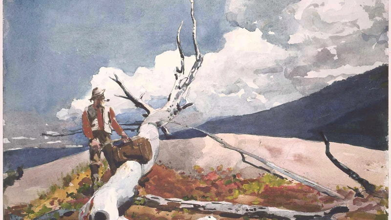 Winslow Homer — 木こりと倒木