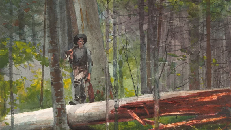 Hunter in the Adirondacks