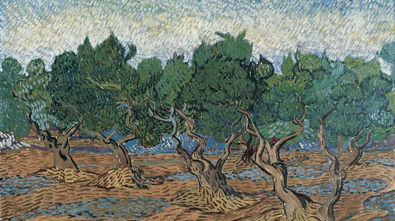 Vincent van Gogh — Olive Grove