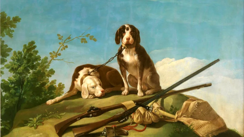 Dogs and Hunting Gear
