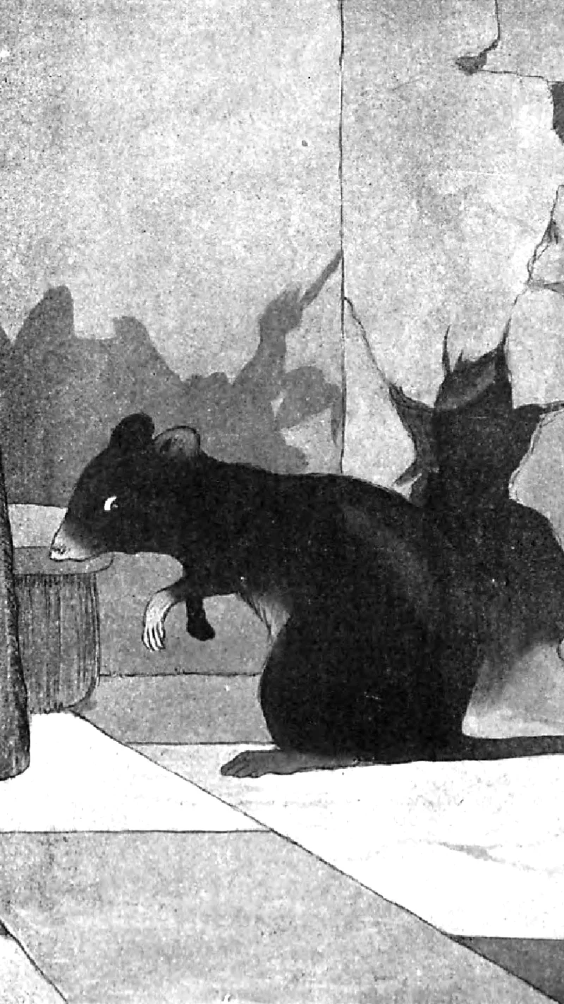Benjamin Rabier — Jules Renard, Histoires naturelles, la souris