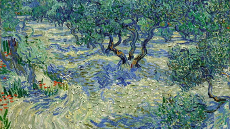 Olive Orchard