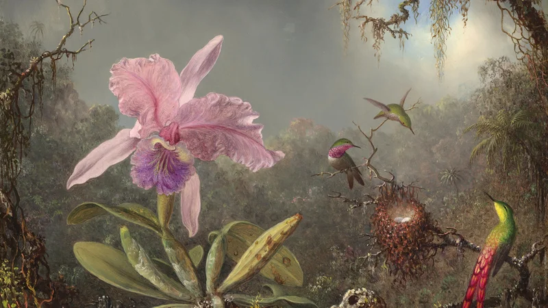 Martin Heade — Cattleya Orchid and Three Hummingbirds